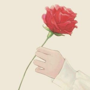 Meet your Posher, Liraz 🌼